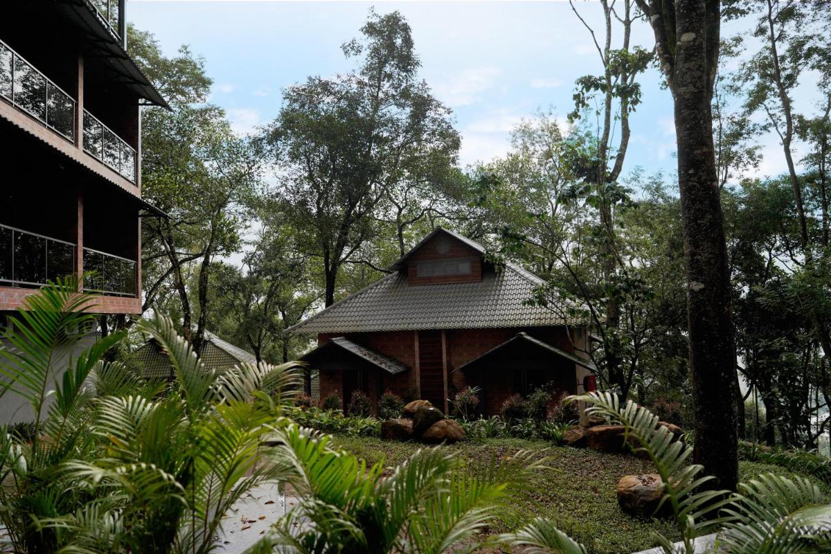 a small house in the middle of a forest at Elephant Passage in Munnar