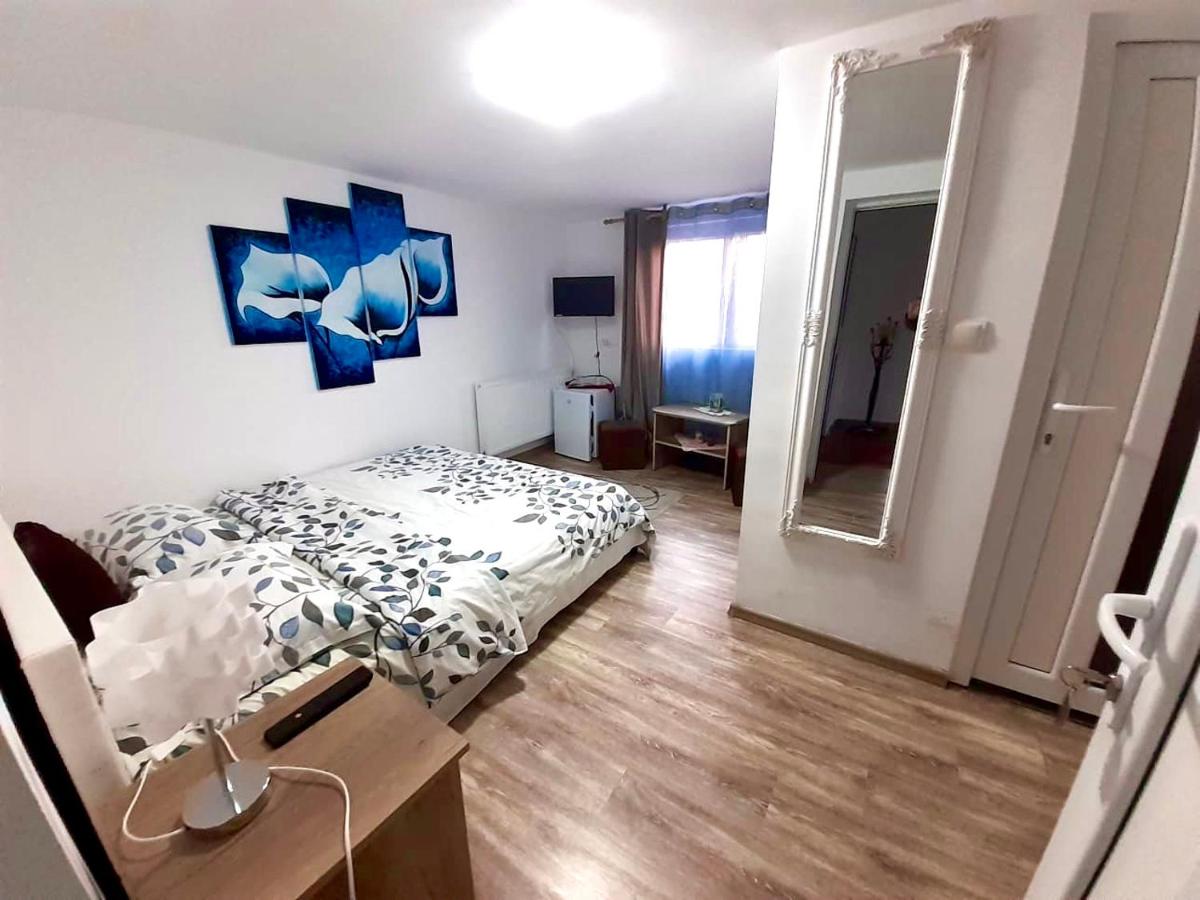Pensiunea Casa Albă - Housity