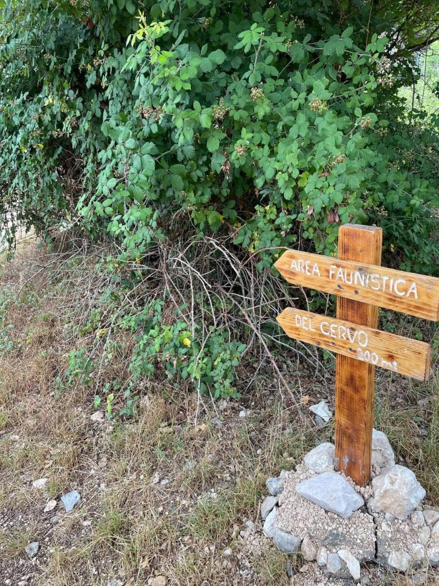 Ca nel Parco - Housity