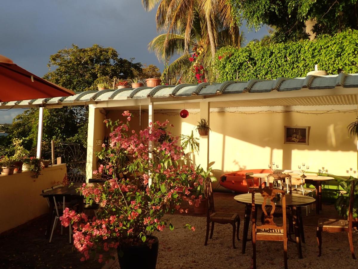 Le cactus guesthouse - Housity