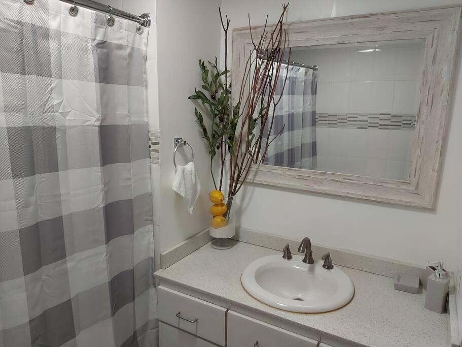 Condado San Juan / Beach,Touristic & Business Area - Housity