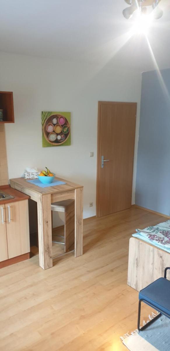 Apartmán Železná Ruda - Housity