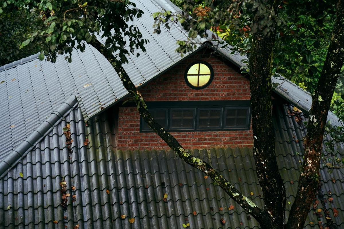 a small house with a window on the roof at Elephant Passage in Munnar