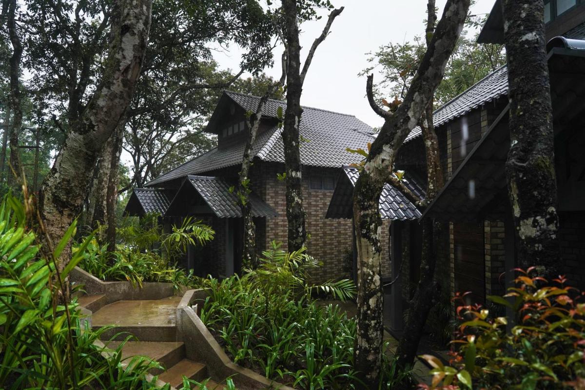 a house with a black roof and some plants at Elephant Passage in Munnar