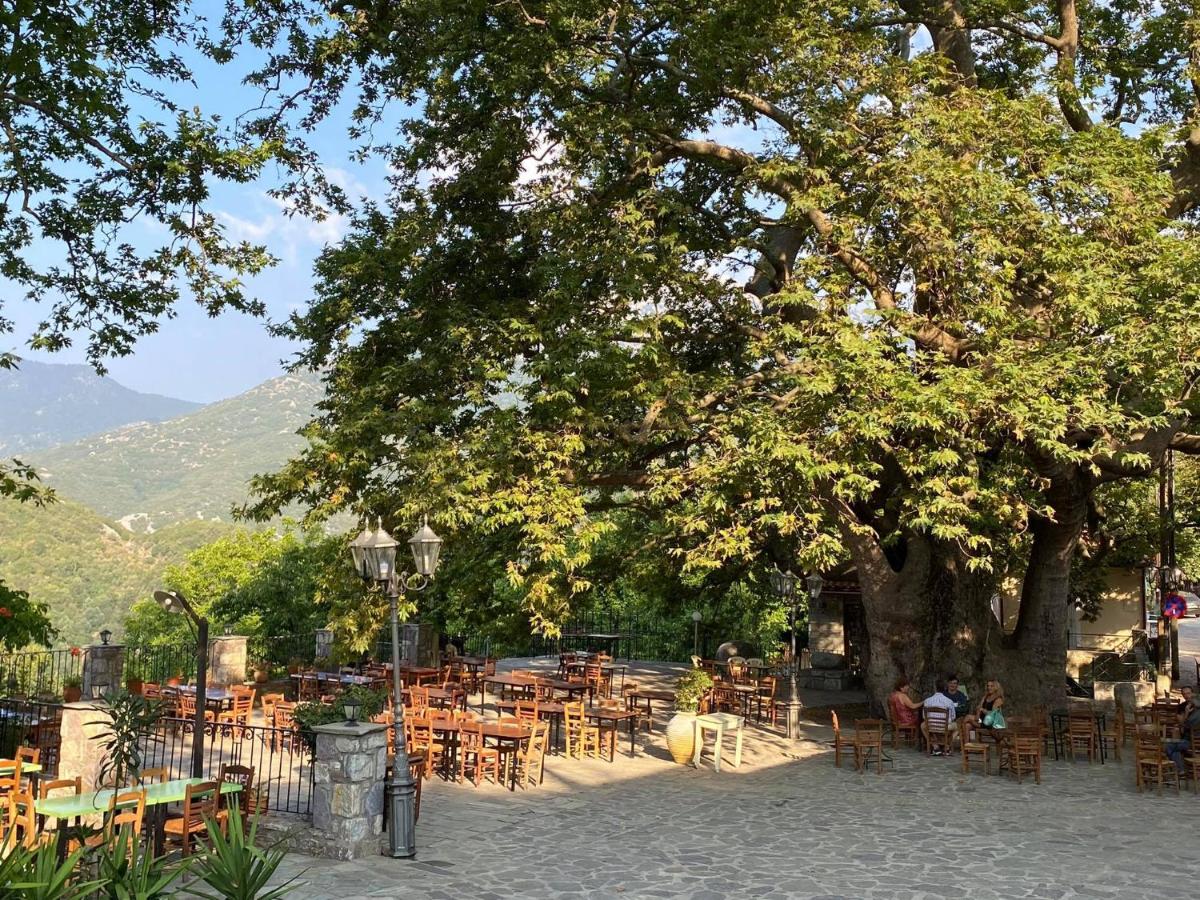 Villa Ioanna Arna Lakonias - Housity