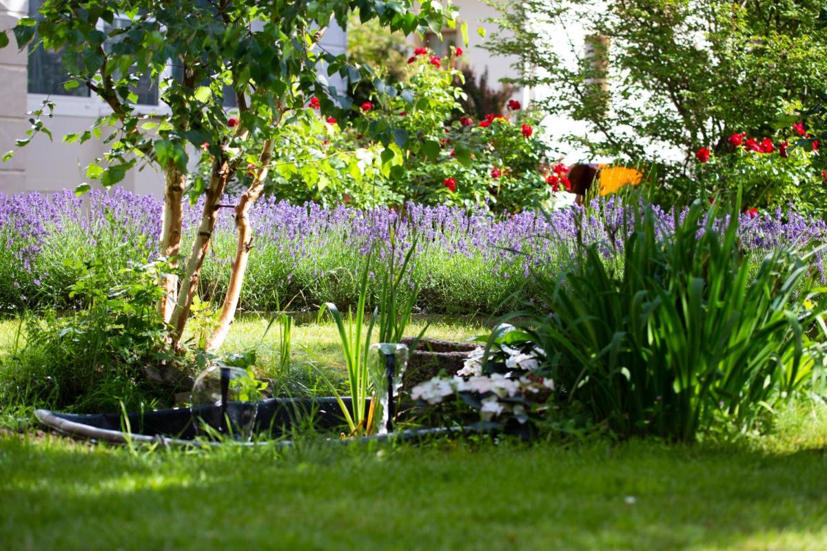 Hotel Lindenhof Bad Schandau - Housity