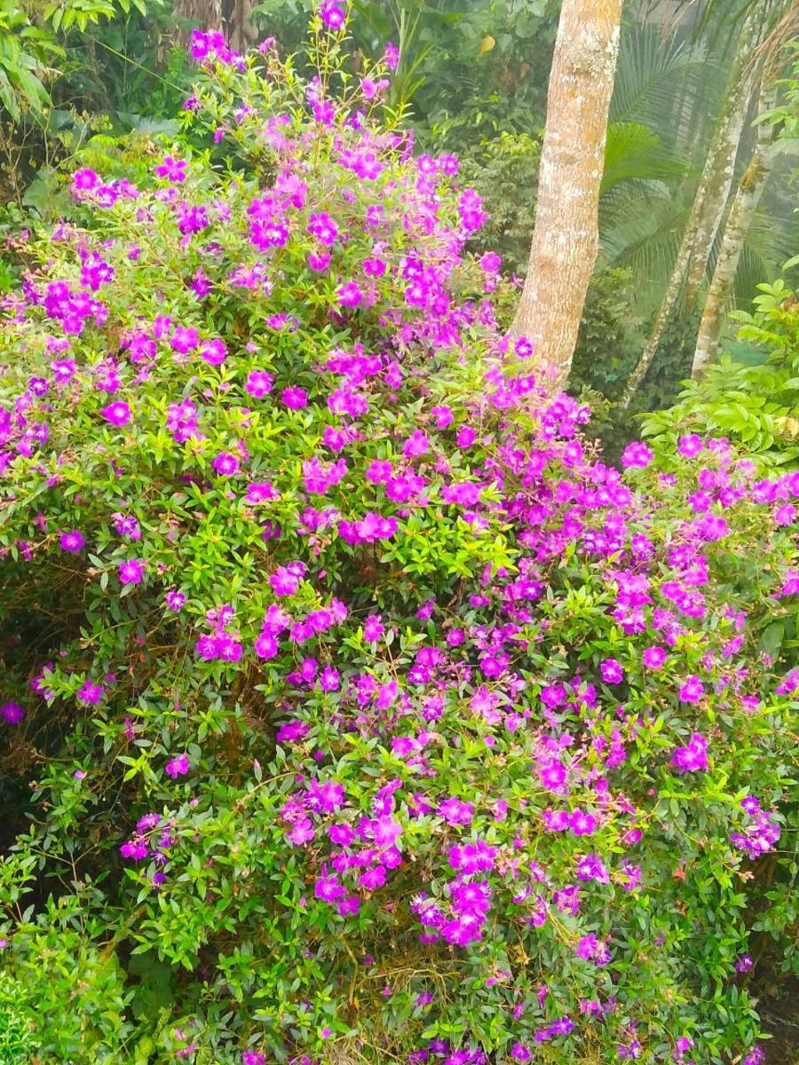 Spring and Valley View - Housity