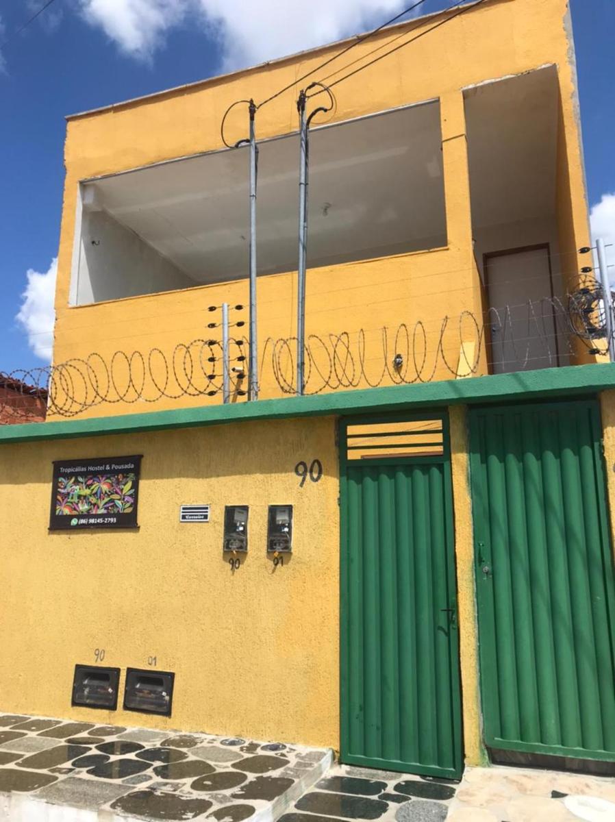 Tropicalia's House - Housity