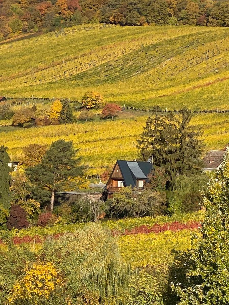 Vacationhome in the vineyards - Housity