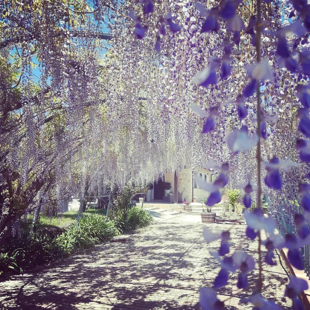 B&B Etna Ranch - Housity