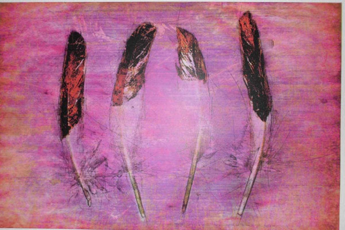 Ferienwohnungen Federleicht - Housity