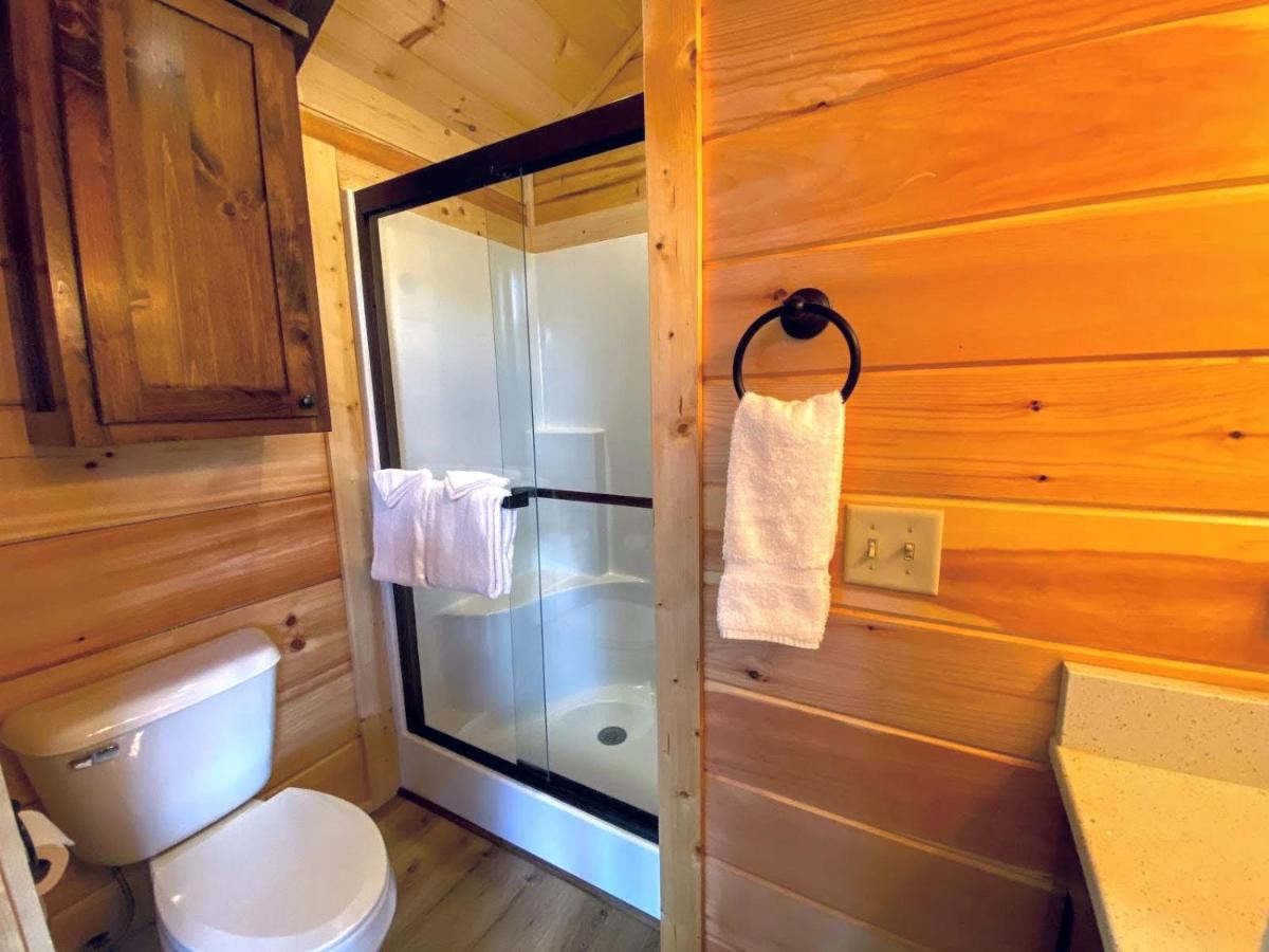 B1 NEW Awesome Tiny Home with AC Mountain Views Minutes to Skiing Hiking Attractions - Housity