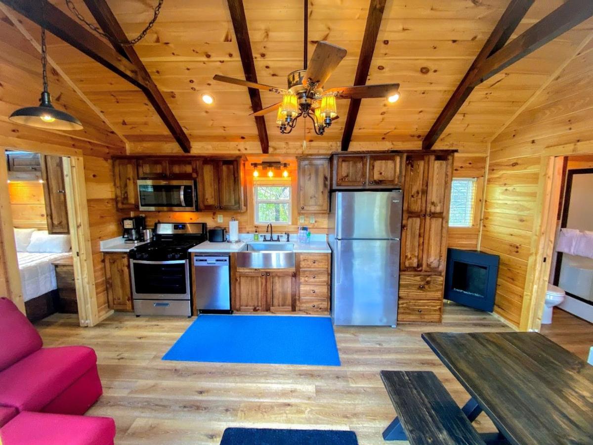 B3 NEW Awesome Tiny Home with AC Mountain Views Minutes to Skiing Hiking Attractions - Housity