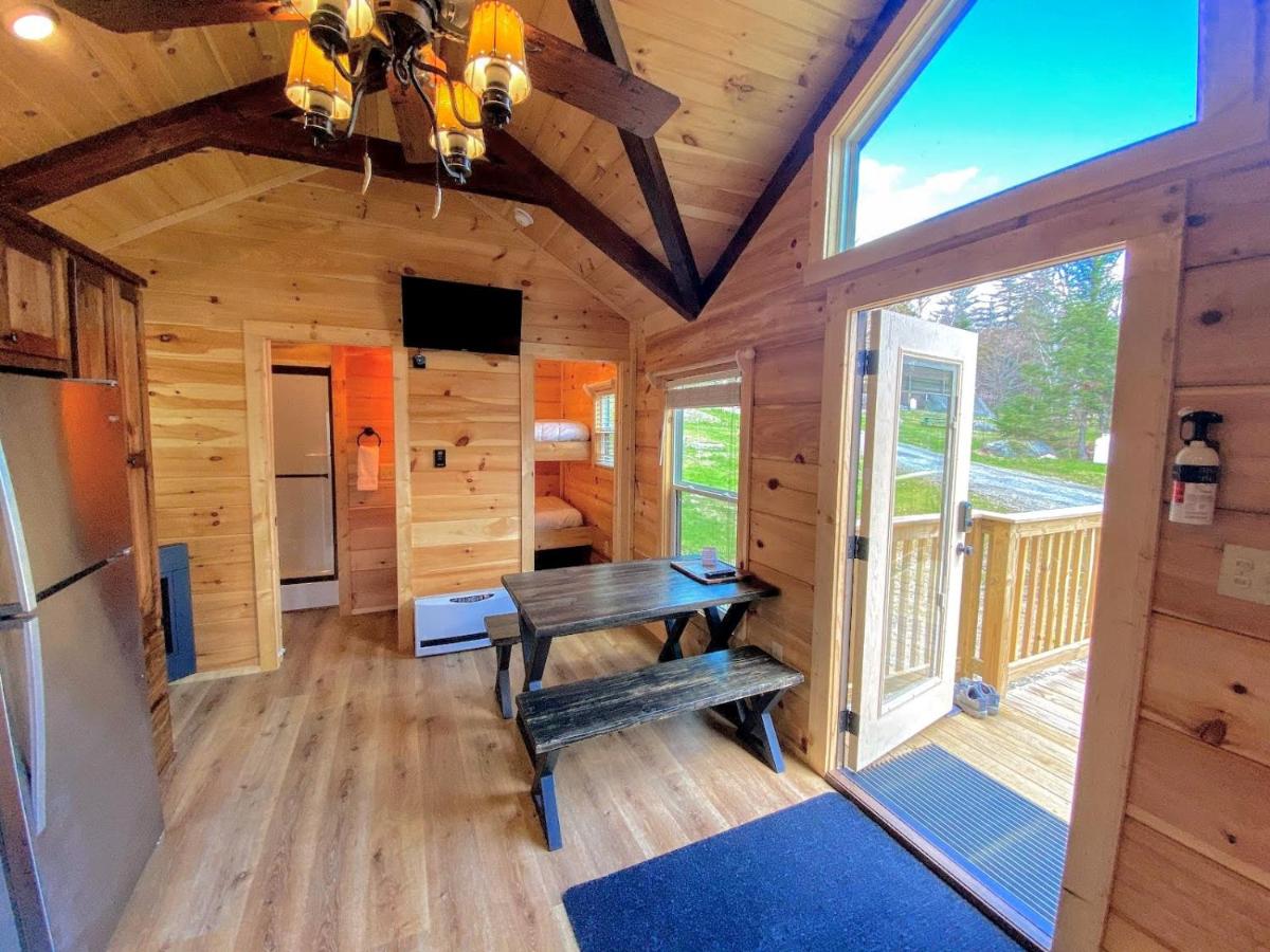 B3 NEW Awesome Tiny Home with AC Mountain Views Minutes to Skiing Hiking Attractions - Housity