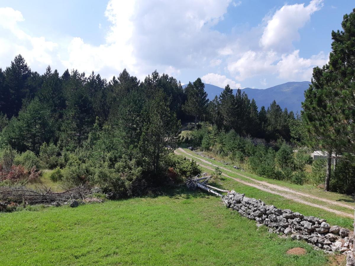 Mountain house Karla Blidinje - Housity