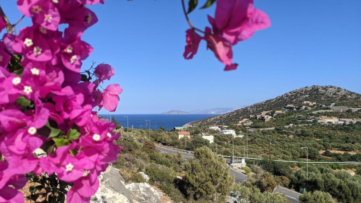 Hari Apartments Vathi, Agios Nikolaos Crete - Housity