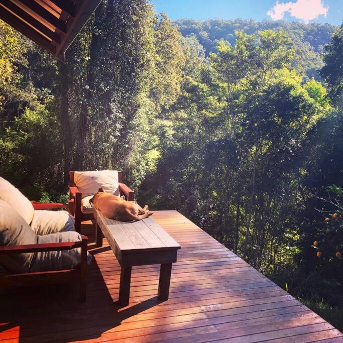 Forest Retreat Bellingen (68 Acres) - Housity