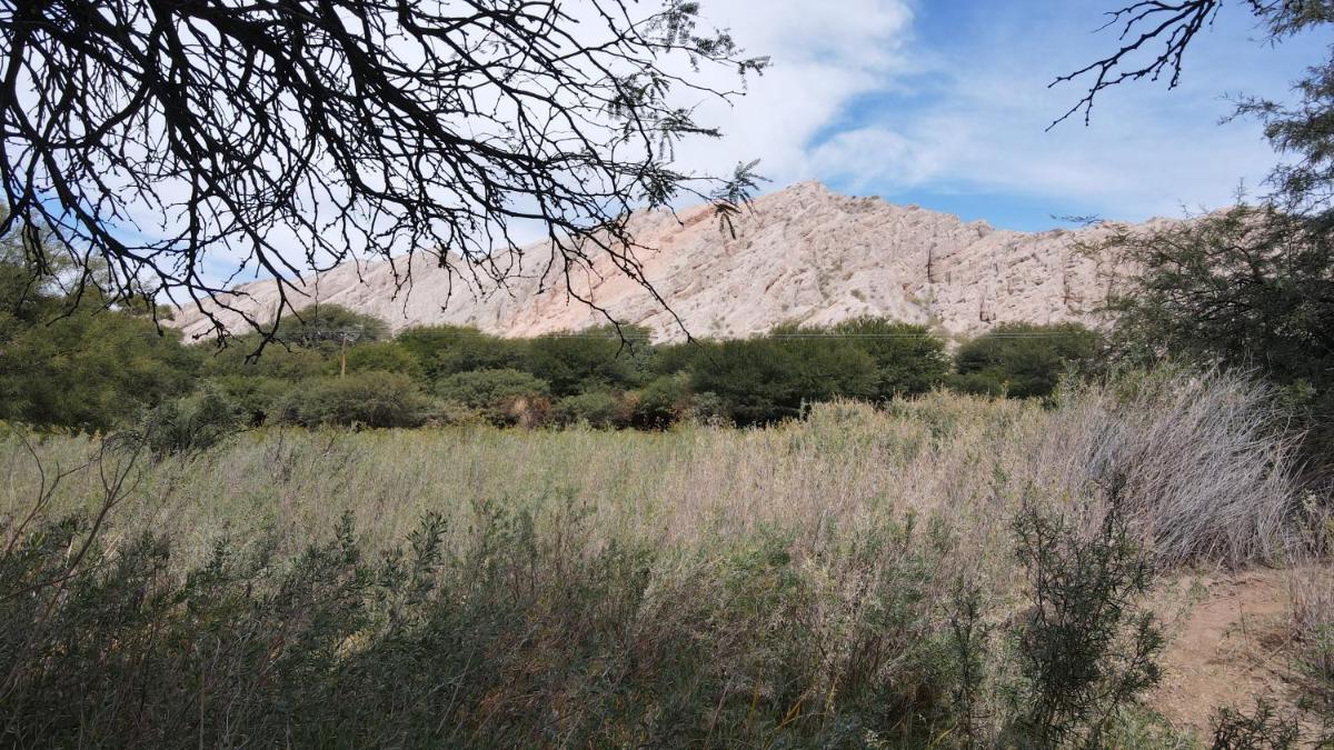 Siilu Wasi. Glamping. - Housity