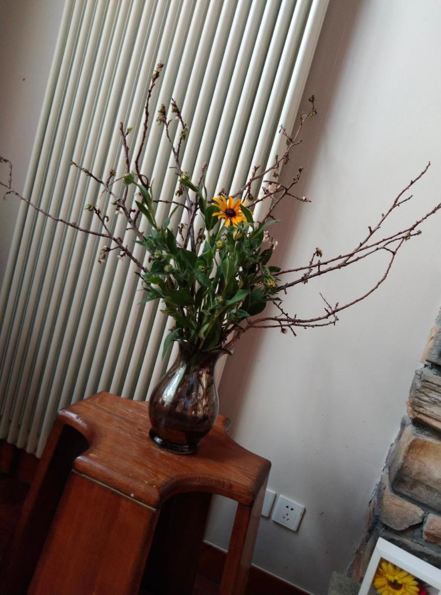 Orenda Tribe Villa - Housity