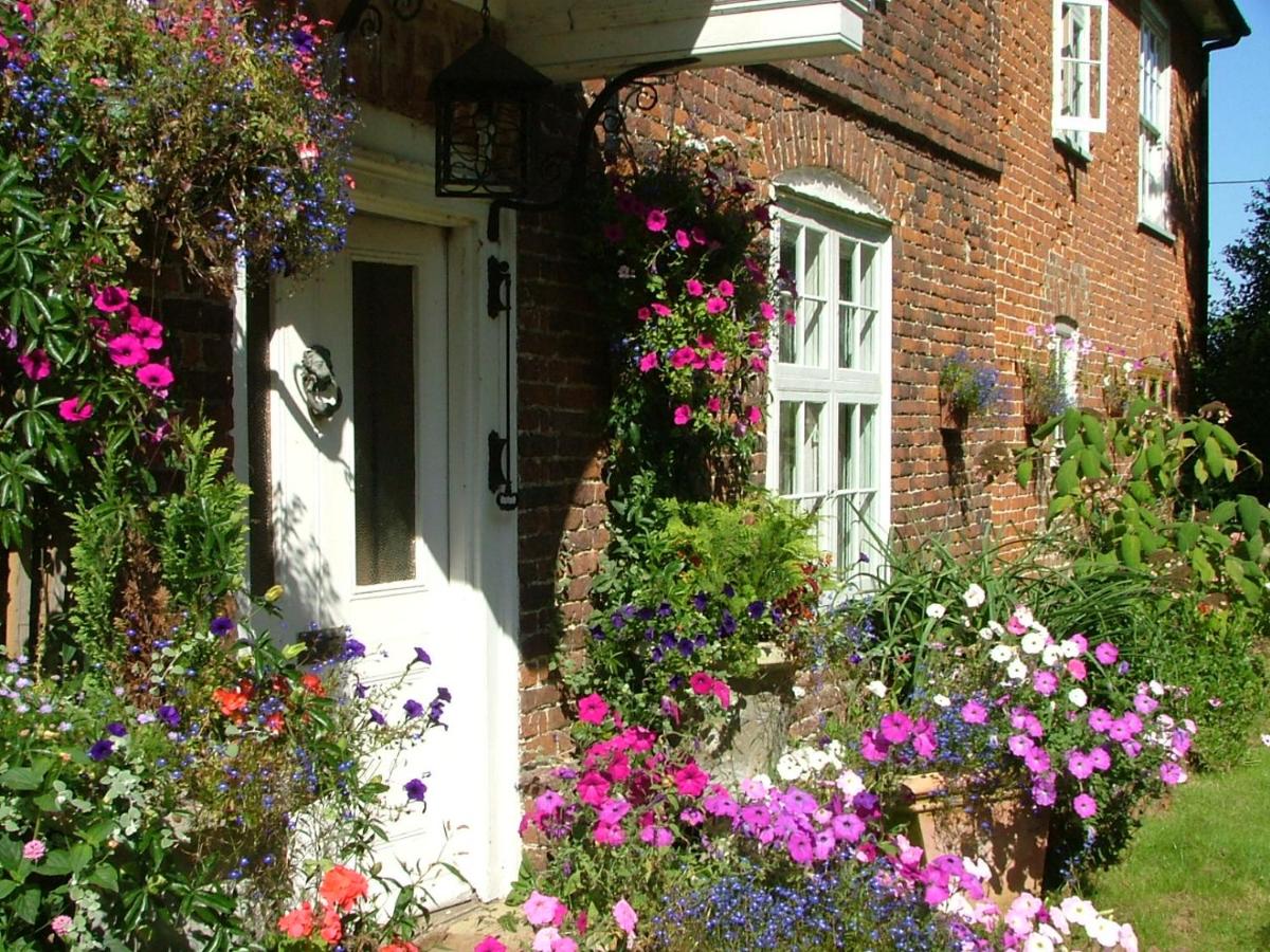Molland Manor House Self catering (10 bedrooms 9 bathrooms) - Housity