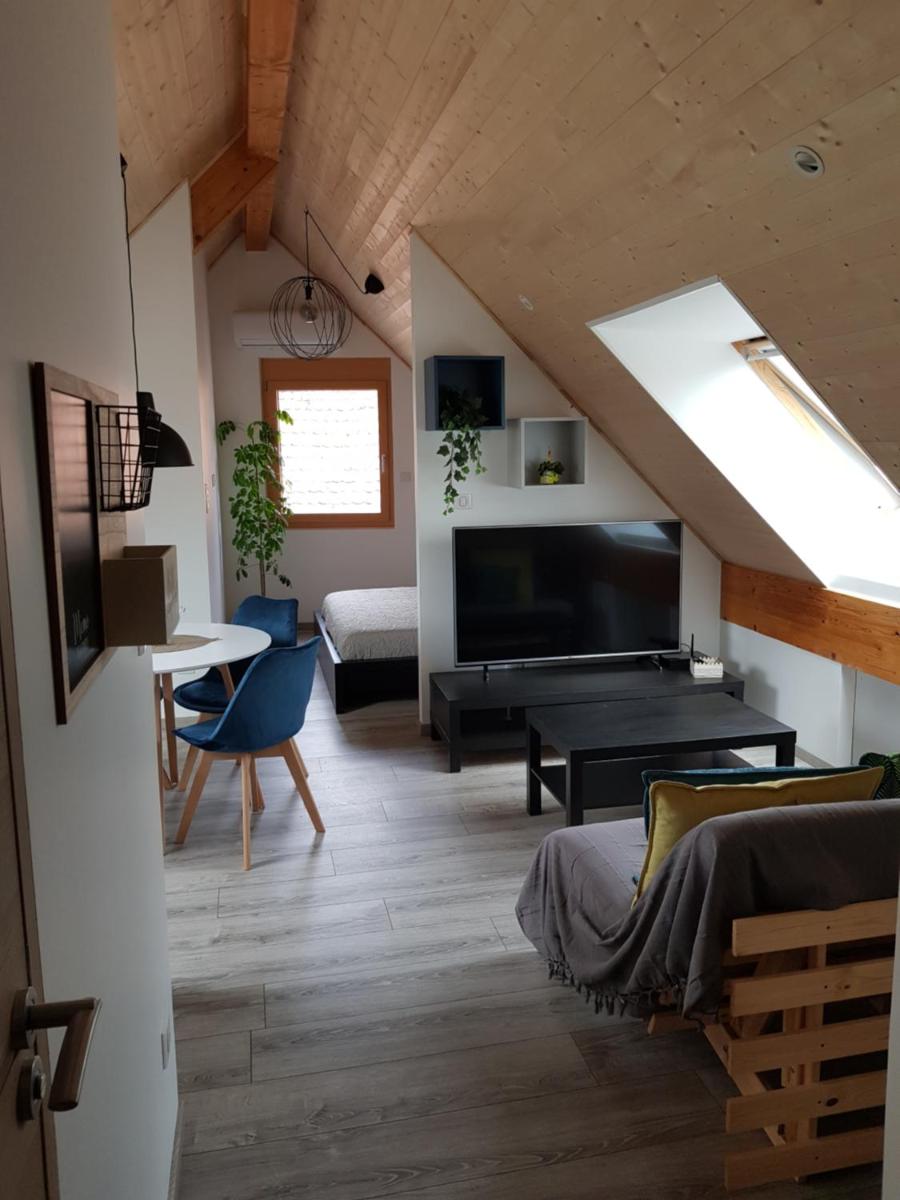 Superbe appartement type T1 proche Strasbourg - Housity