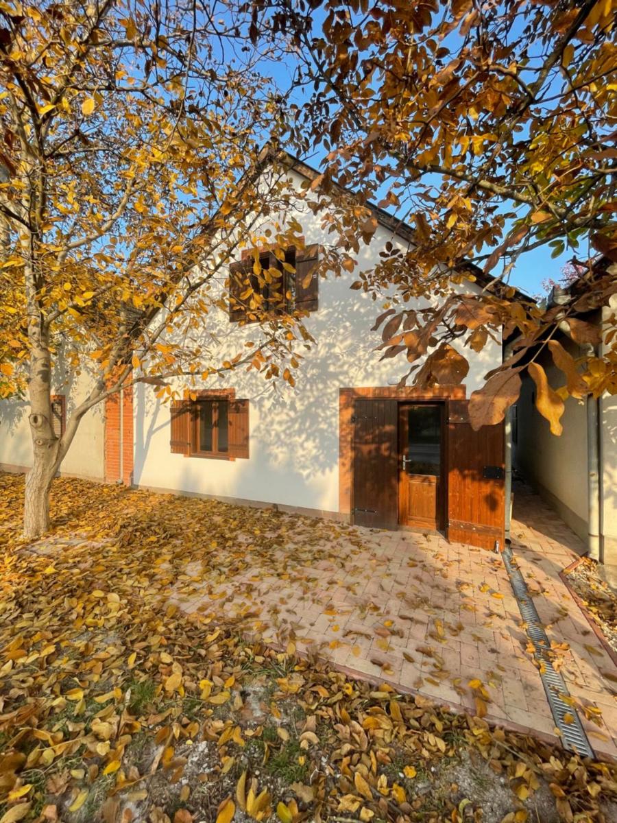Perényi Pince és Vendégház Hajós - Housity
