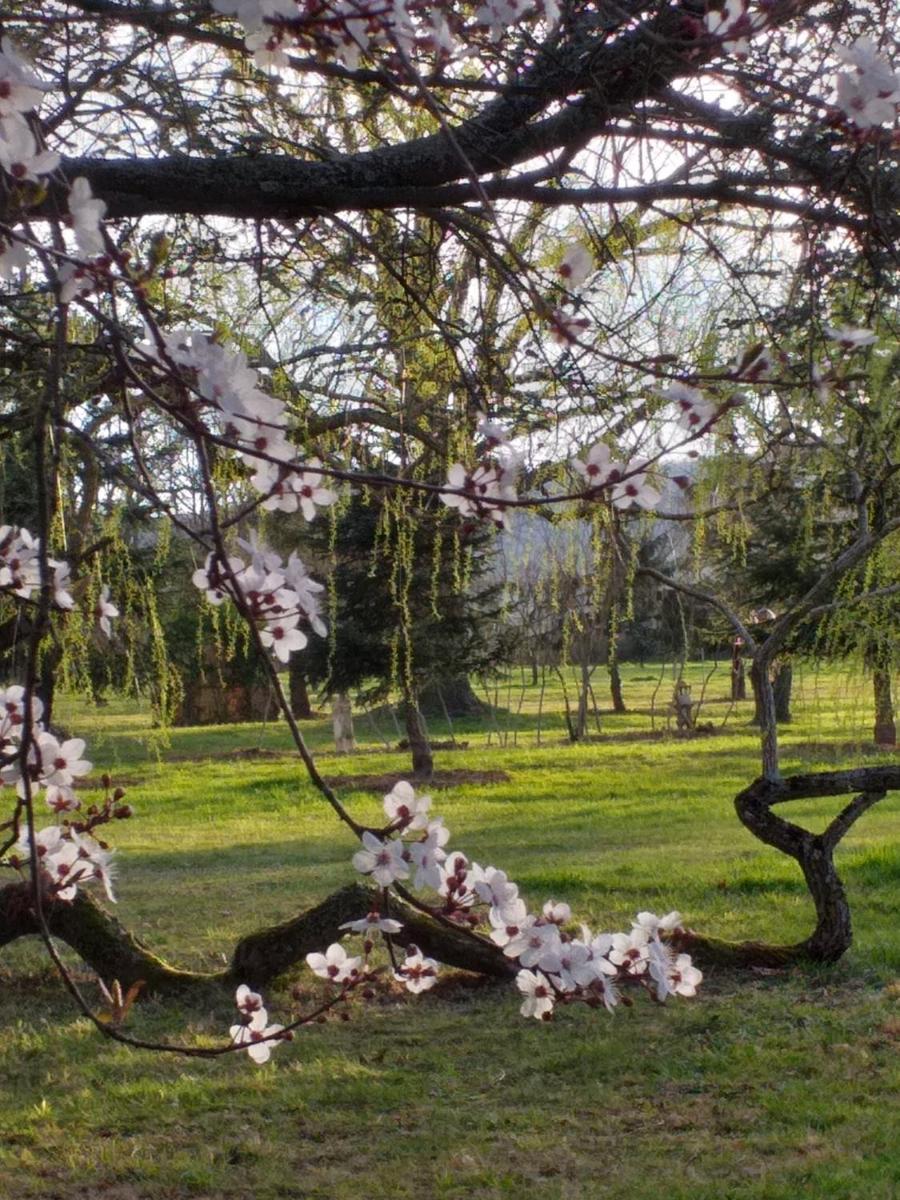 DOMAINE BERENGUER - Housity