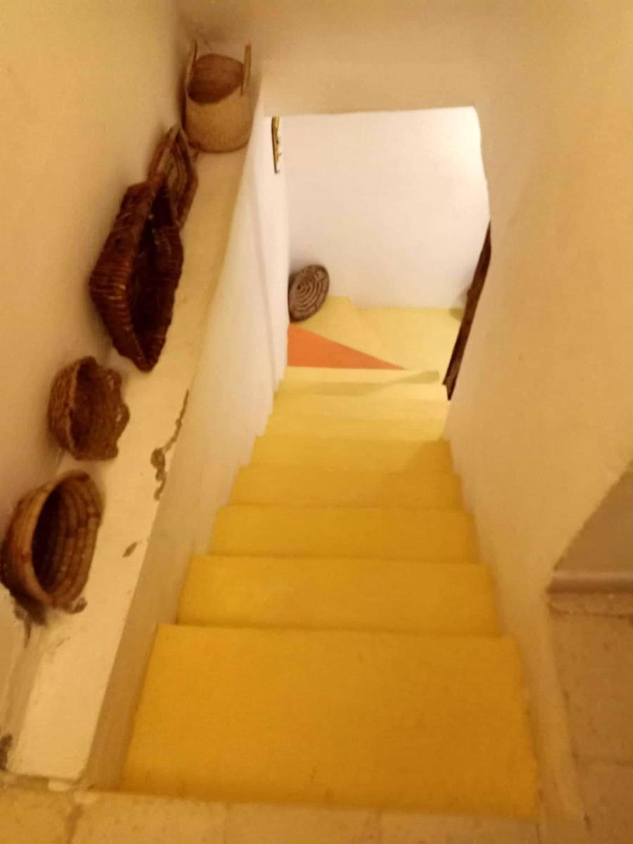 Comfortable apartment in Tunis 55 m² with city terrace view - Housity