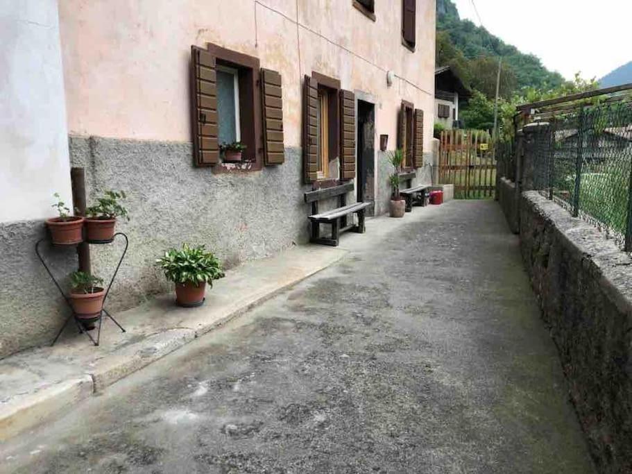 Mity Garden Apartements - Housity