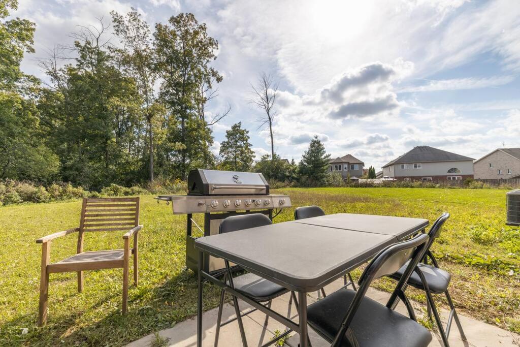 8 BEDS Tomorrowland - 15 Minutes To The Falls - Housity