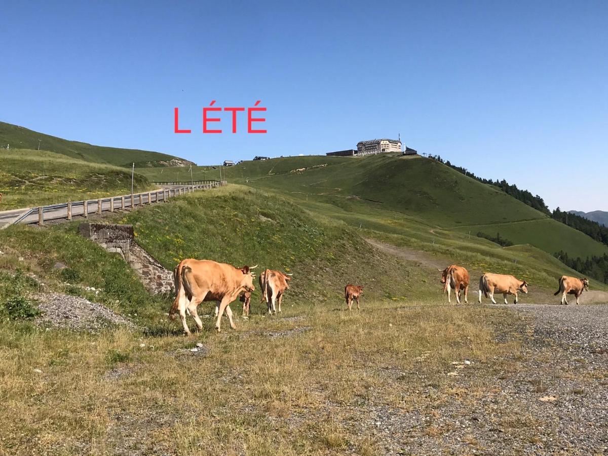 Suitetrails - Au pied des pistes