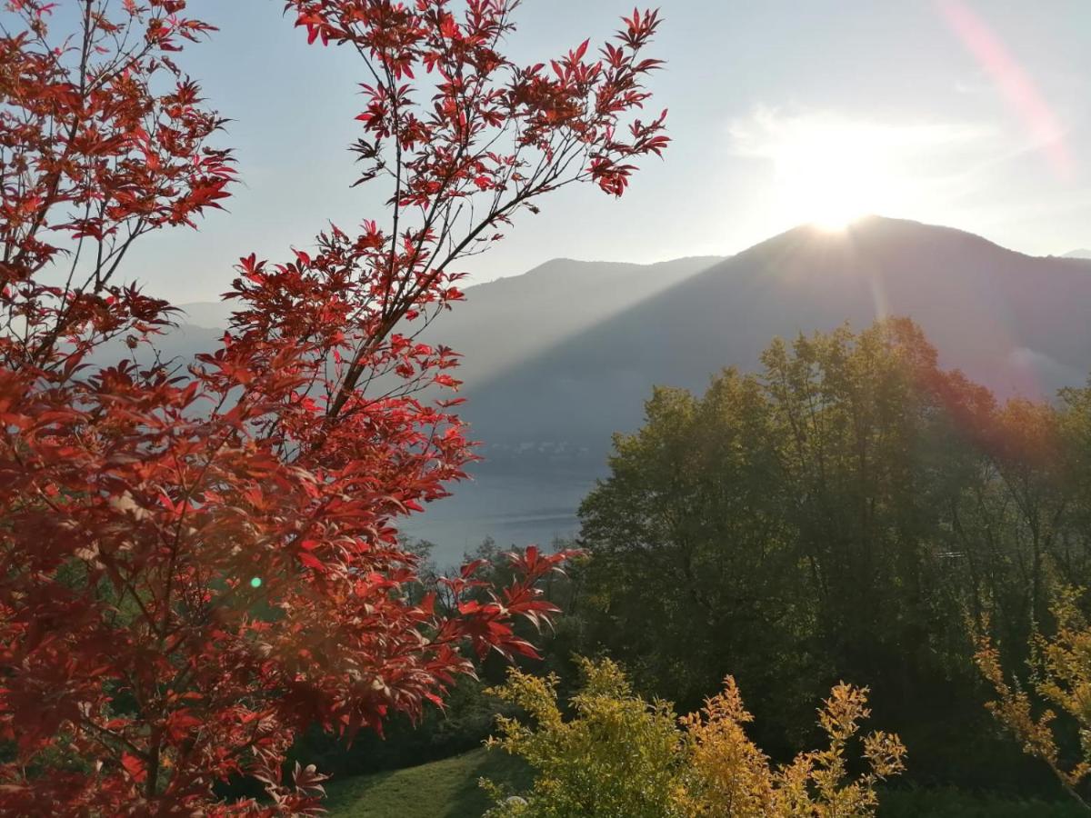La Finestra sul Lago - Housity