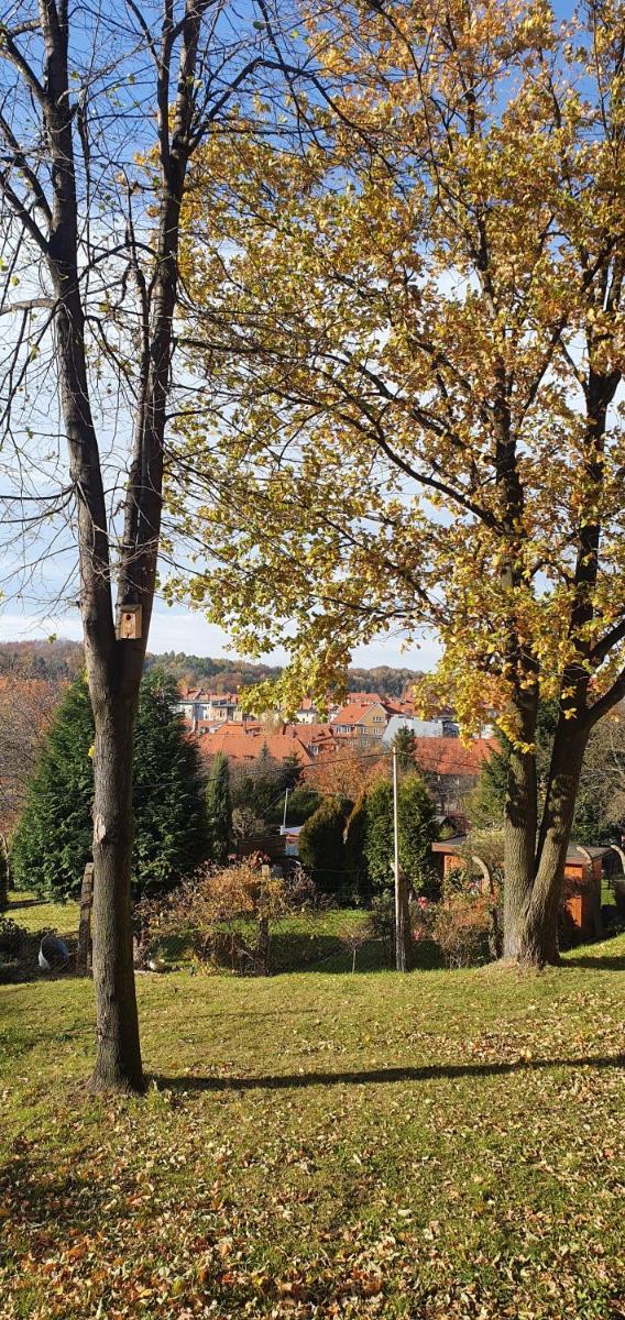 Apartament A&Ł Relax - Housity