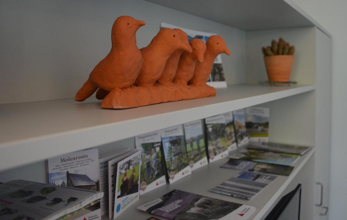 B&B Altijd Zomer - Housity