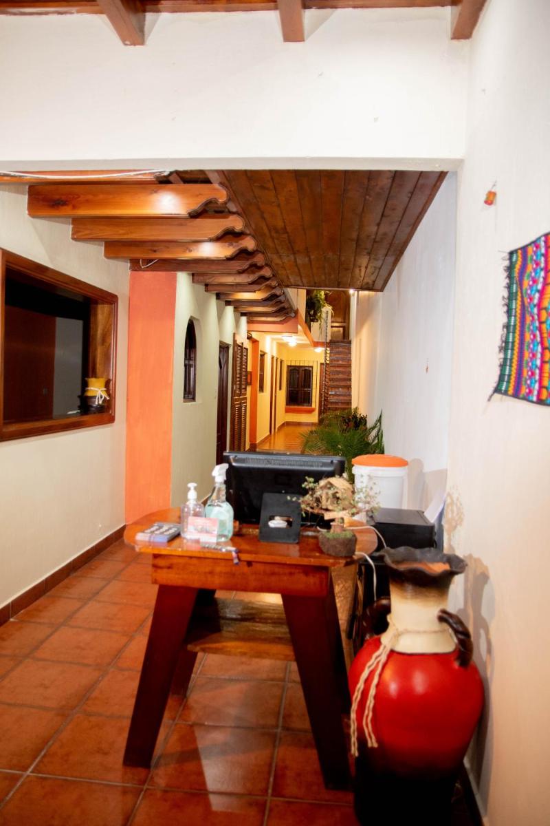 Green Belly Antigua - Housity
