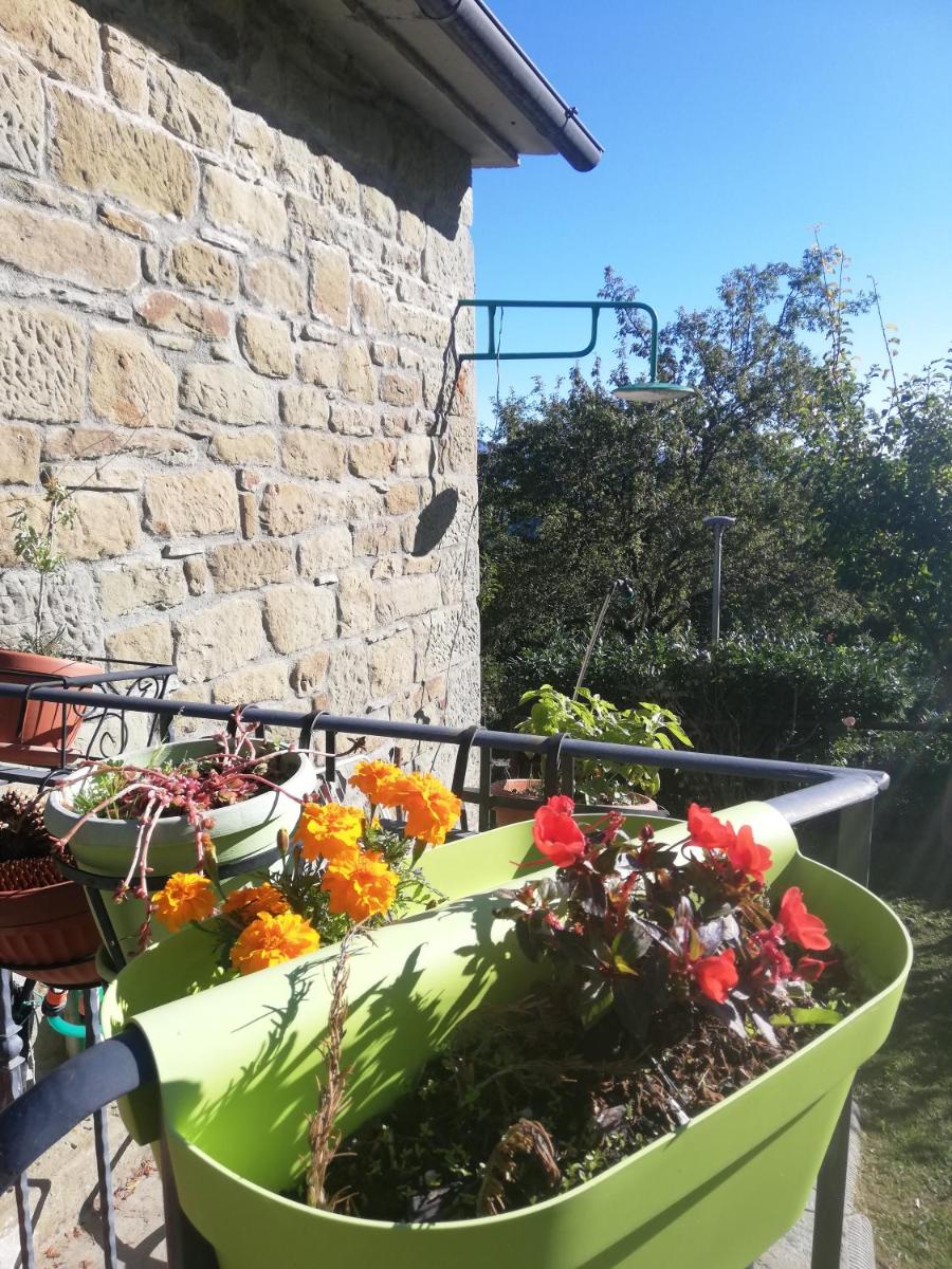 Casa Martino - Housity