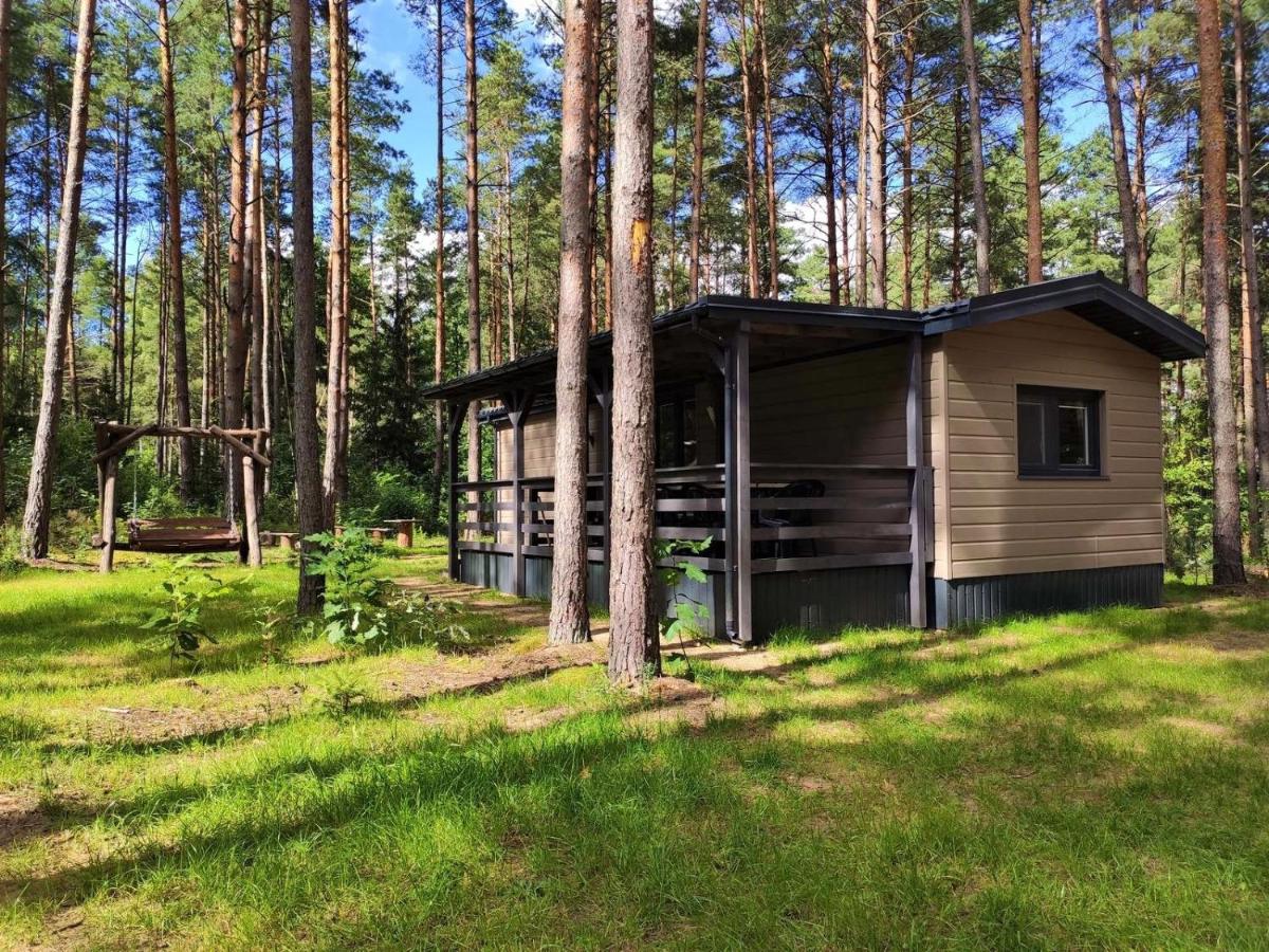domki przy lipowej 14 - Housity