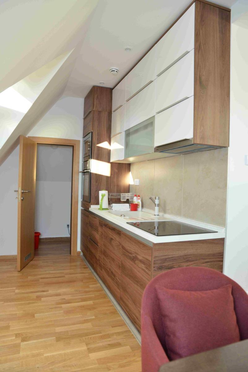 Vila Irina Kopaonik - Hizvo