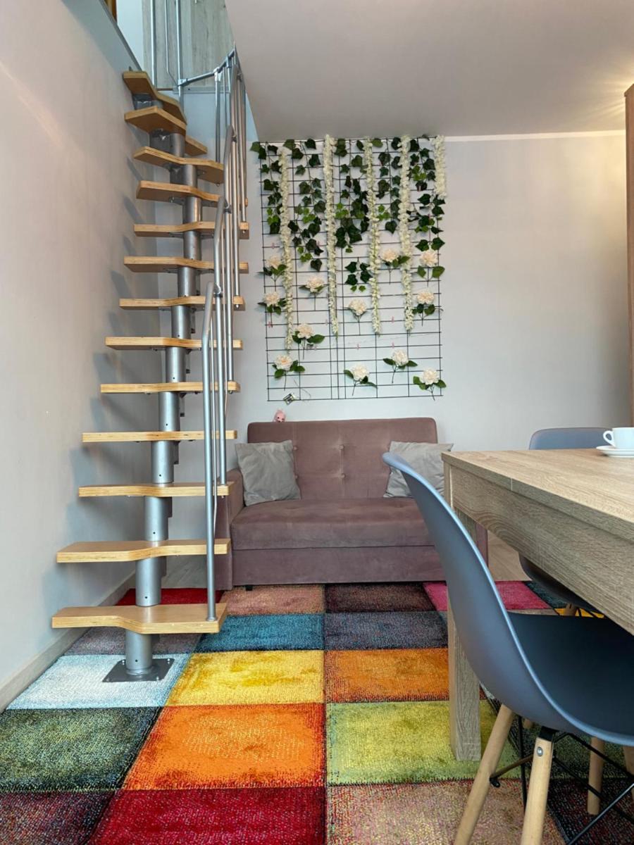 Apartament Szafran - Housity