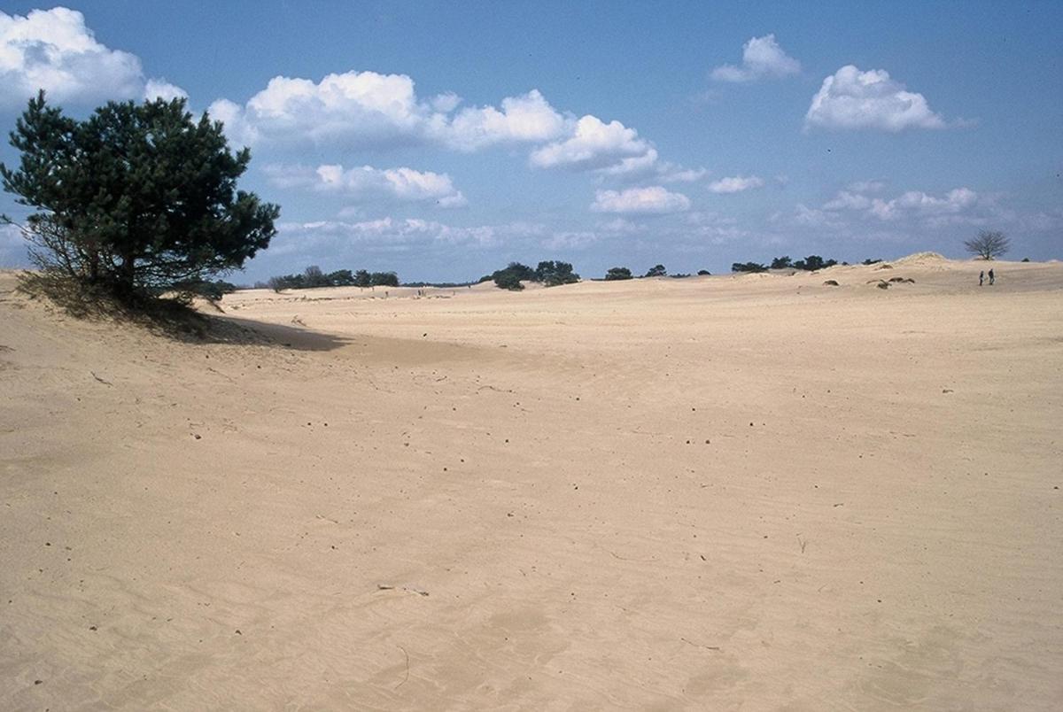 Vakantieverhuur Bienvenue - Housity