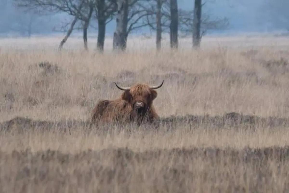 Vakantieverhuur Bienvenue - Housity