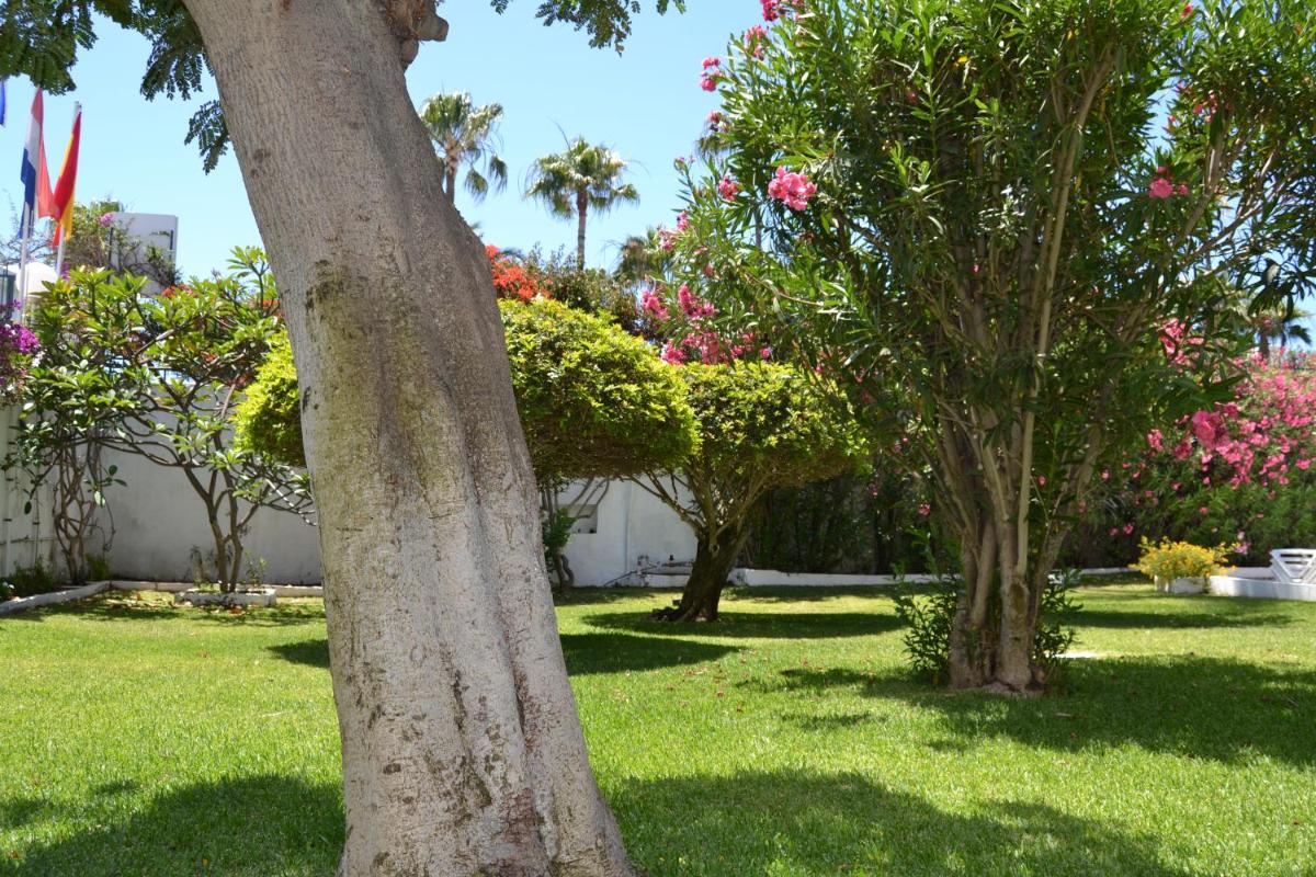 Apartamentos Don Quijote - Housity