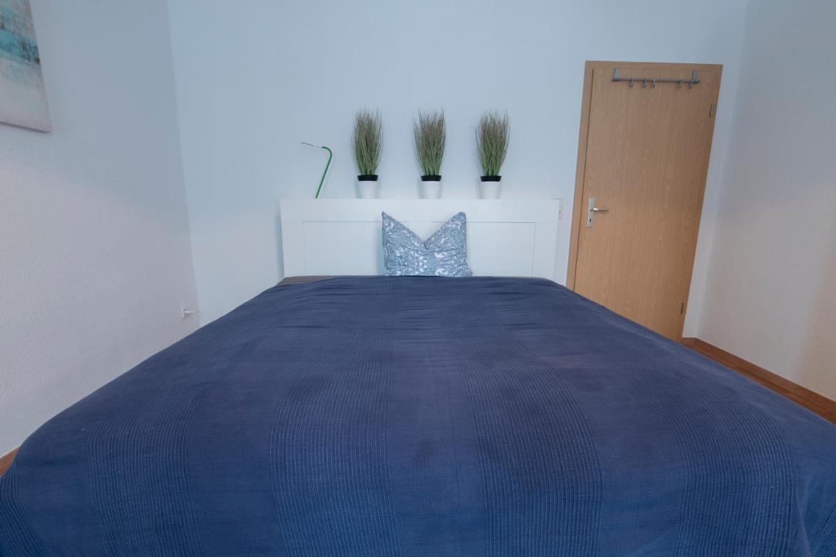 Lutherviertel-Apartment mit 2 SZ in Uni-Nähe - Housity