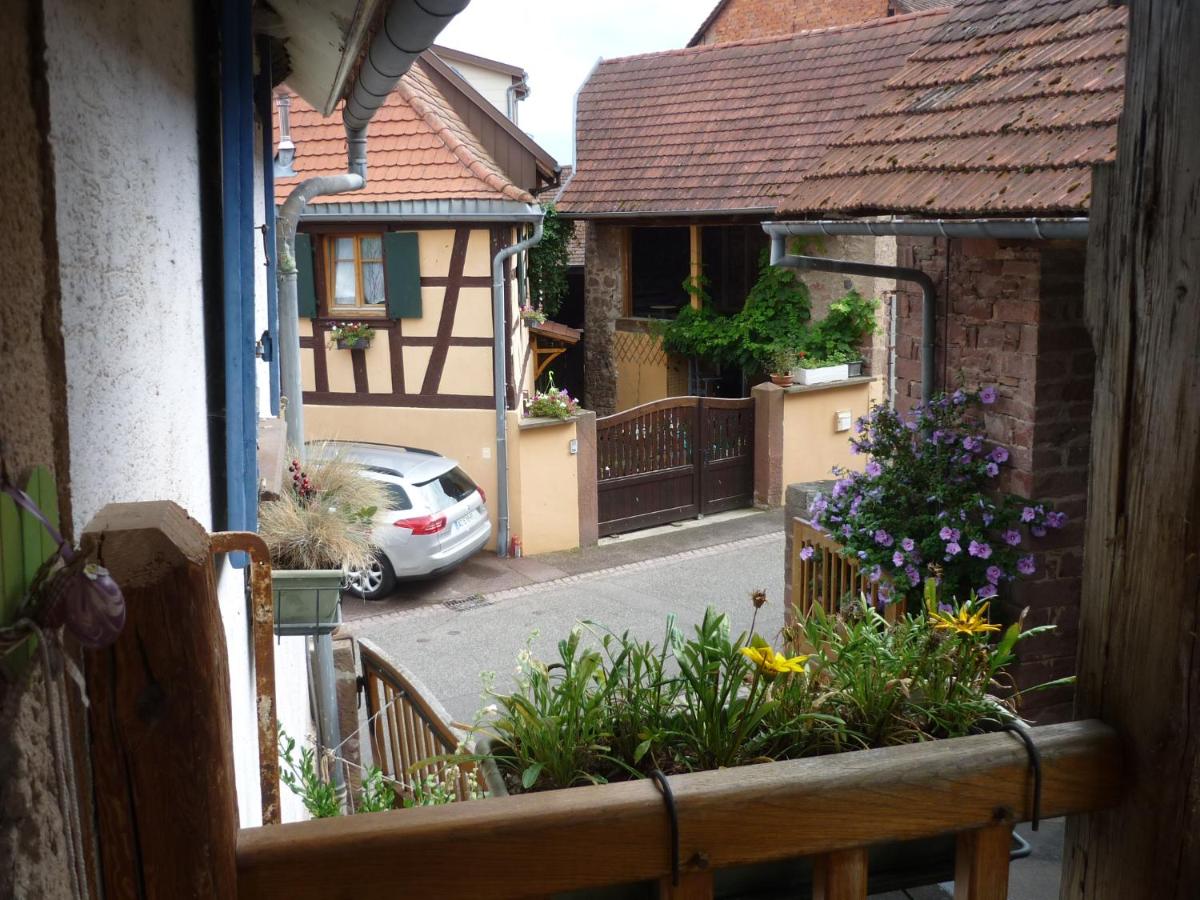 Les hirondelles - Housity