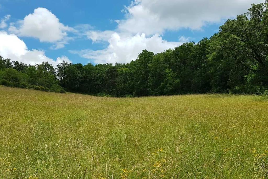 Huis te huur in de natuur - Housity