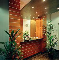 Central-Classic Hotel - Hizvo