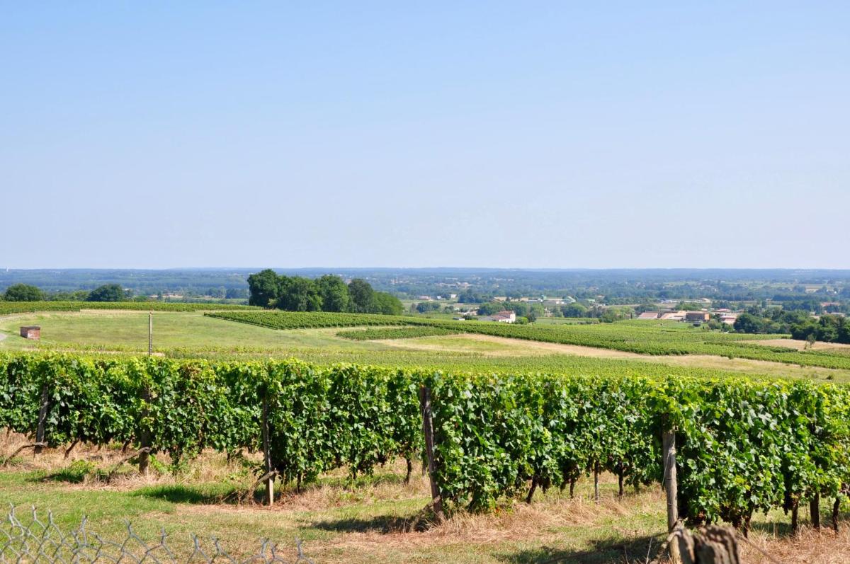 CLOS SAINT SAUVEUR - guesthouse au coeur des vignes sur le coteau - Housity