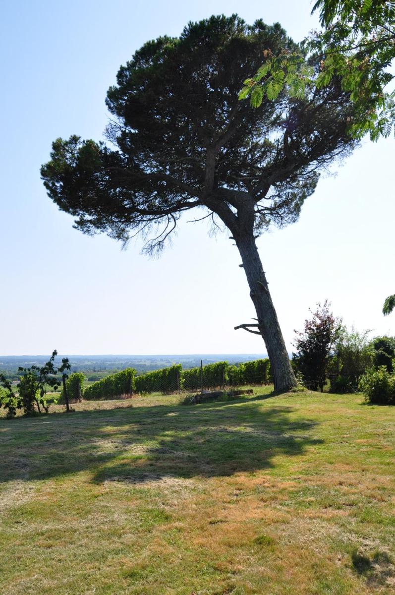 CLOS SAINT SAUVEUR - guesthouse au coeur des vignes sur le coteau - Housity