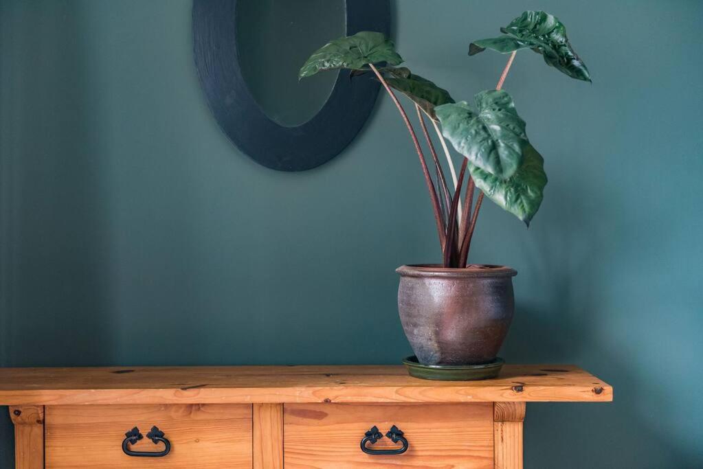 Heritage Cottage - Charming and stylish home with lovely garden - Housity