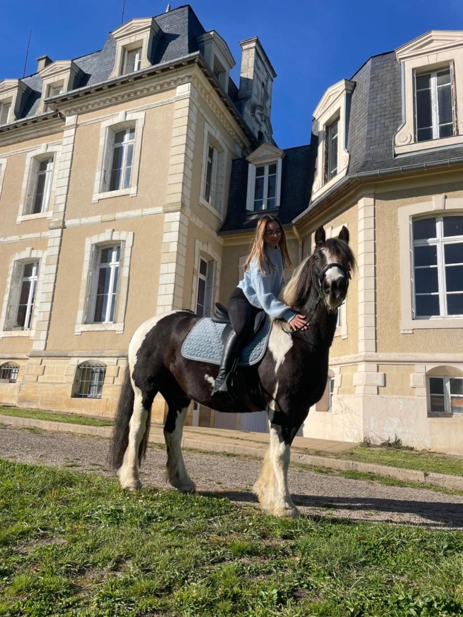 Château de la Bouchatte chambre les Roses - Housity